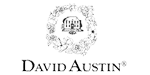 Dacid Austin Dacid Austin