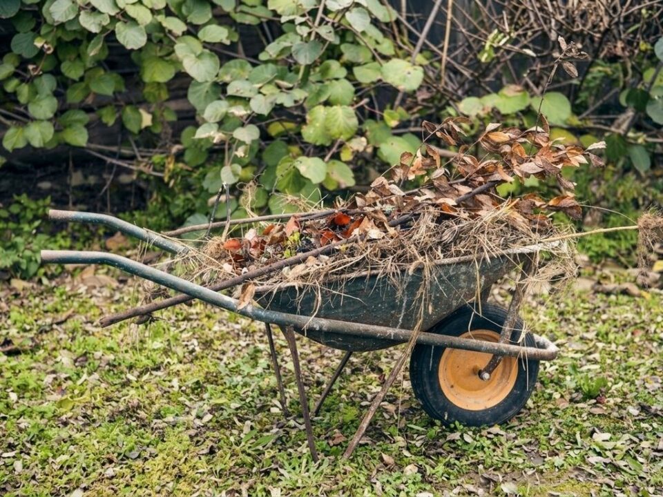 Уборка старых растительных остатков с цветников и грядок Уборка старых растительных остатков с цветников и грядок